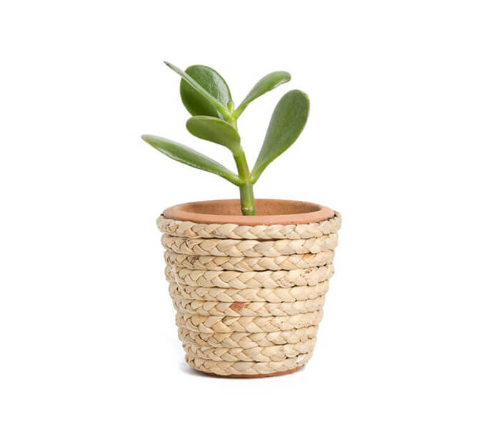 perspiciatis unde omnis